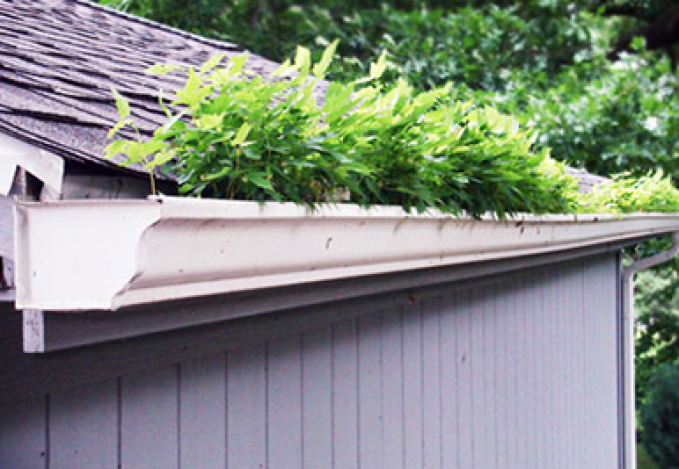 Gutter Cleaning Myths