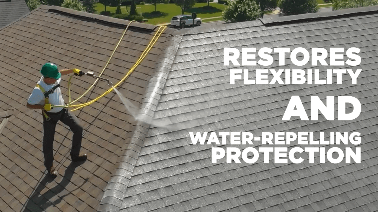 Roof Repair in Alameda