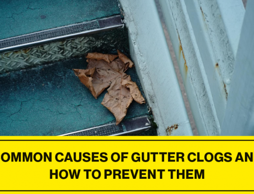 Common Causes and Prevention of Gutter Clogs